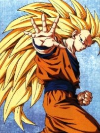 19goku.jpg