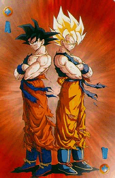 14goku.jpg