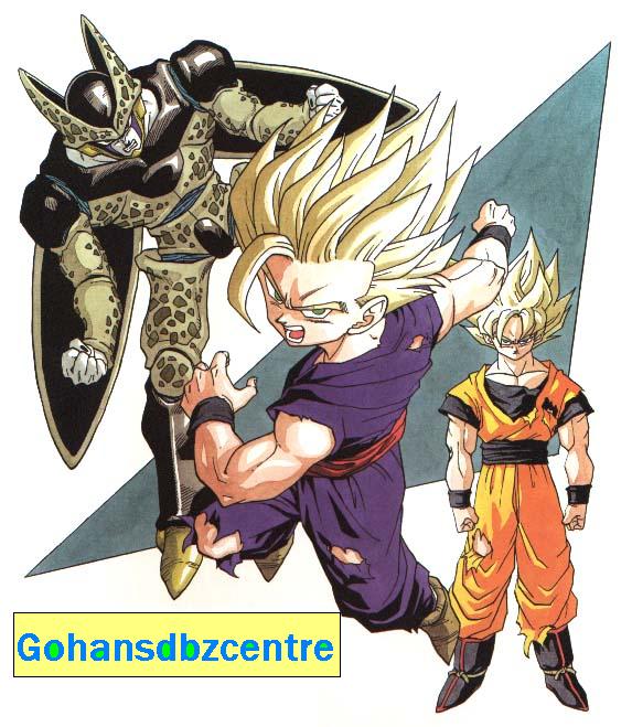 banner1.jpg