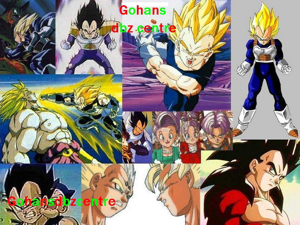 banner4.jpg
