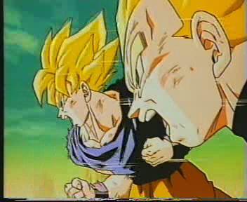 gokuandvegeta.jpg
