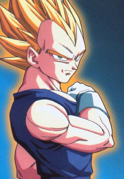 vegeta2.jpg