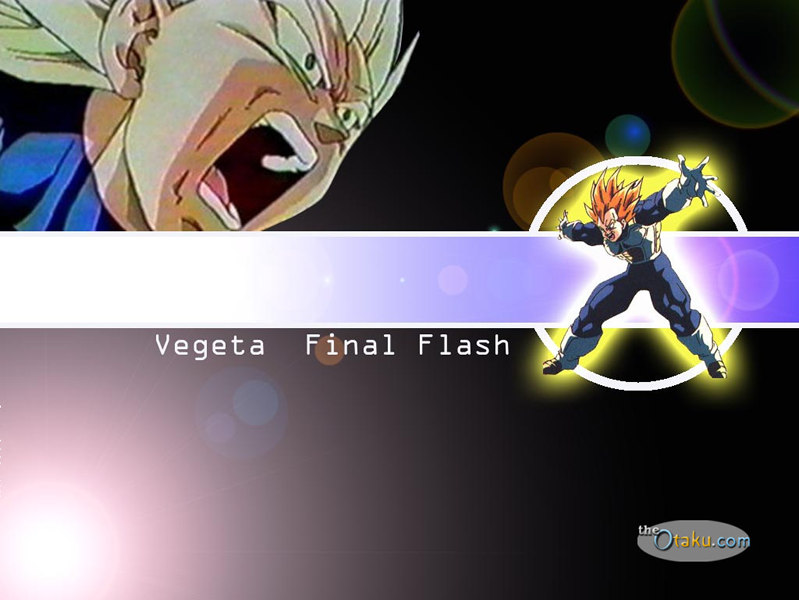 vegetaswallpaper.jpg